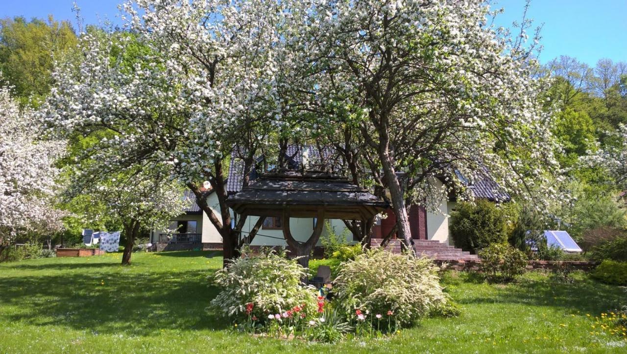 Sianki Nad Sanem Villa Sanok Dış mekan fotoğraf